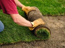 Landscaping